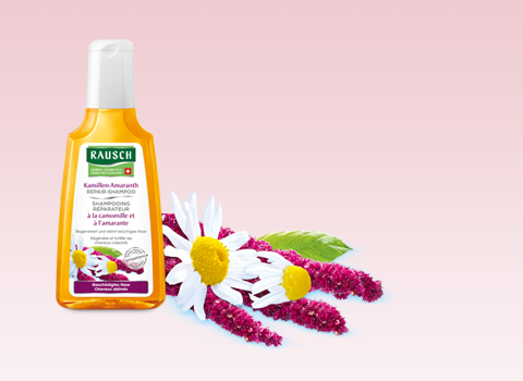 Rausch Kamillen Amaranth Repair Shampoo 200ml